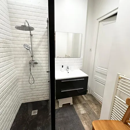 Le Nympheas - Centre - Cosy * Vienne (Isere)